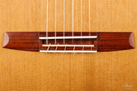 Armin Hanika - HE Custom Doubletop
