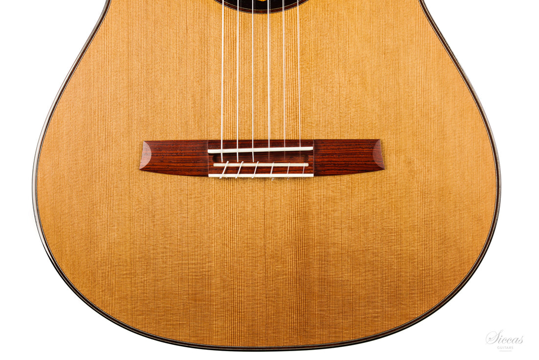 Armin Hanika - HE Custom Doubletop