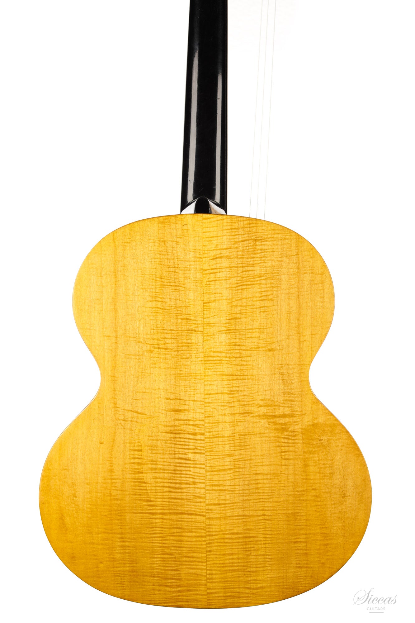 Hermann Hauser ® I - 1923 Contraguitar