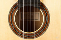 Nils Schebesta - 2020 Fichte