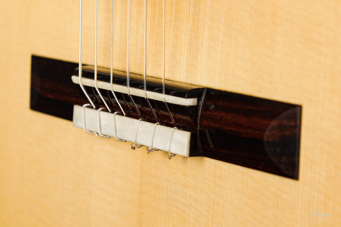 Nils Schebesta - 2020 Fichte