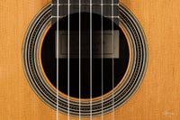 Nils Schebesta - 2020 Cedar