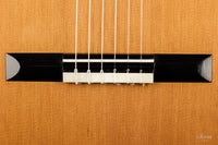 Nils Schebesta - 2020 Cedar