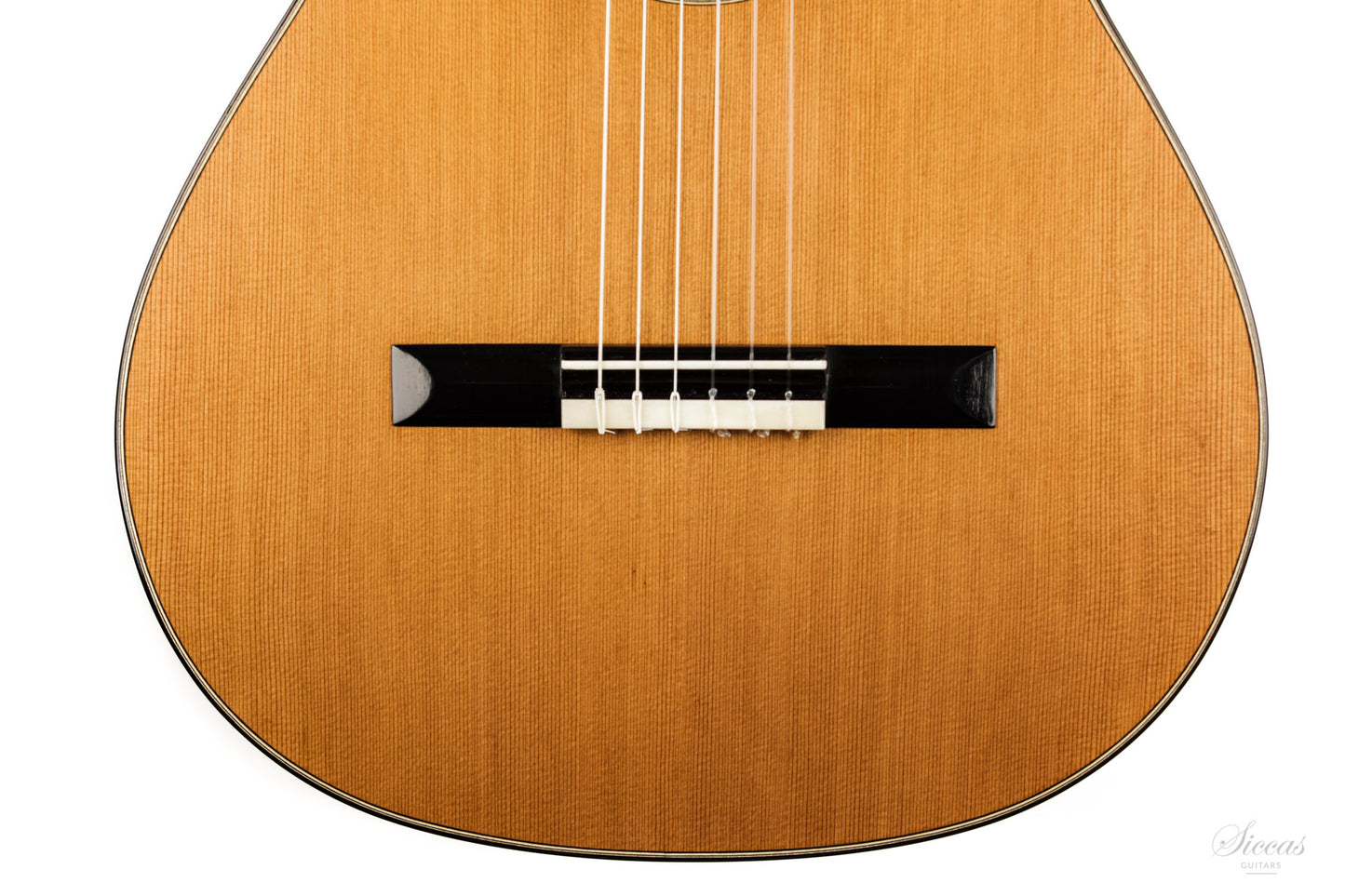 Nils Schebesta - 2020 Cedar