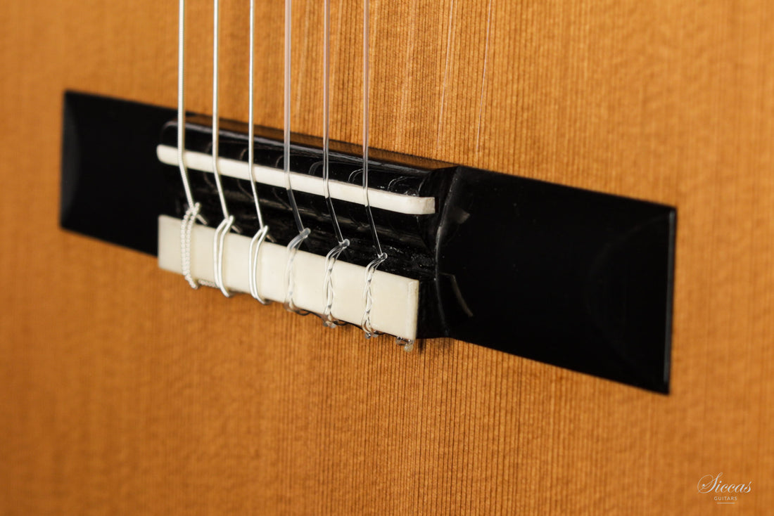 Nils Schebesta - 2020 Cedar