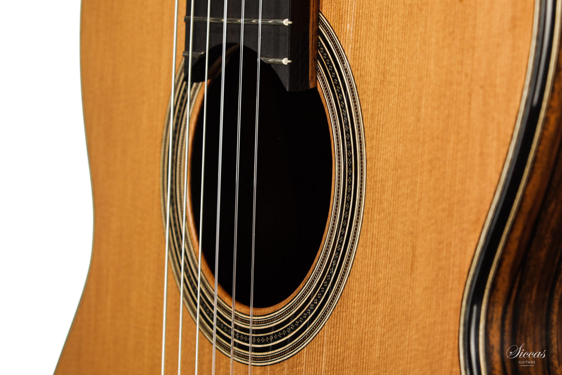 Nils Schebesta - 2020 Cedar