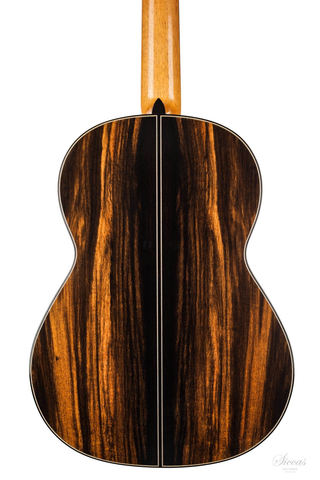 Nils Schebesta - 2020 Cedar