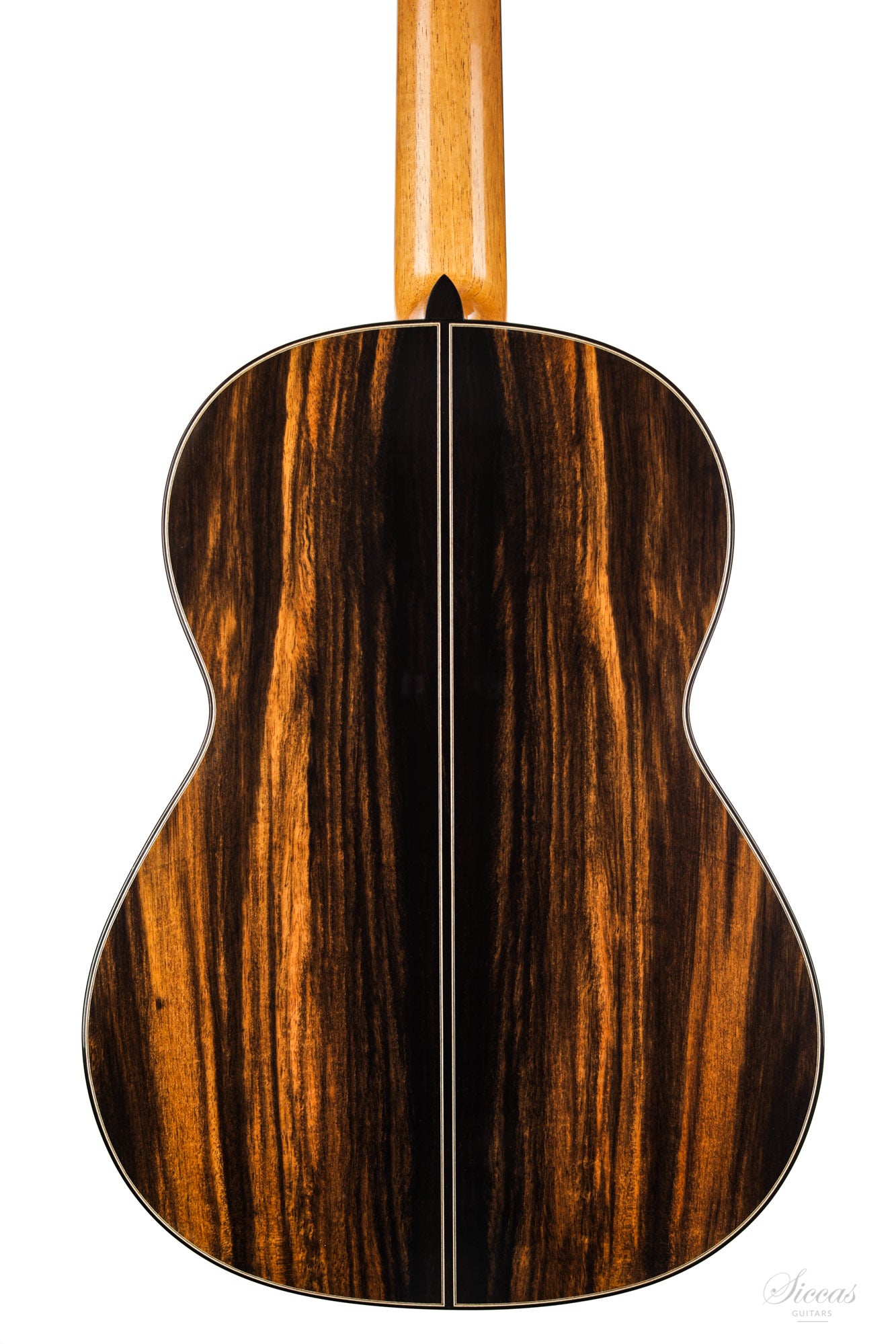 Nils Schebesta - 2020 Cedar