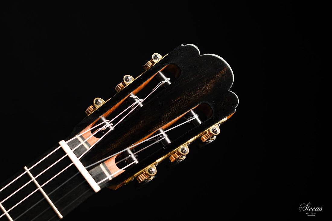 Nils Schebesta - 2020 Cedar