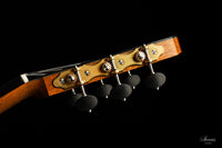 Nils Schebesta - 2020 Cedar