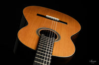 Nils Schebesta - 2020 Cedar