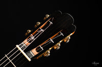 Nils Schebesta - 2020 Fichte