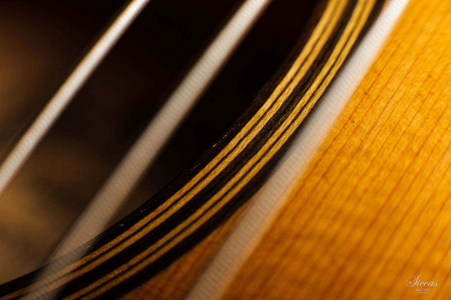 Hermann Hauser ® I - 1923 Contraguitar