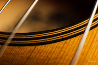 Hermann Hauser ® I - 1923 Contraguitar