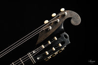 Hermann Hauser ® I - 1923 Contraguitar