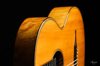 Hermann Hauser ® I - 1923 Contraguitar
