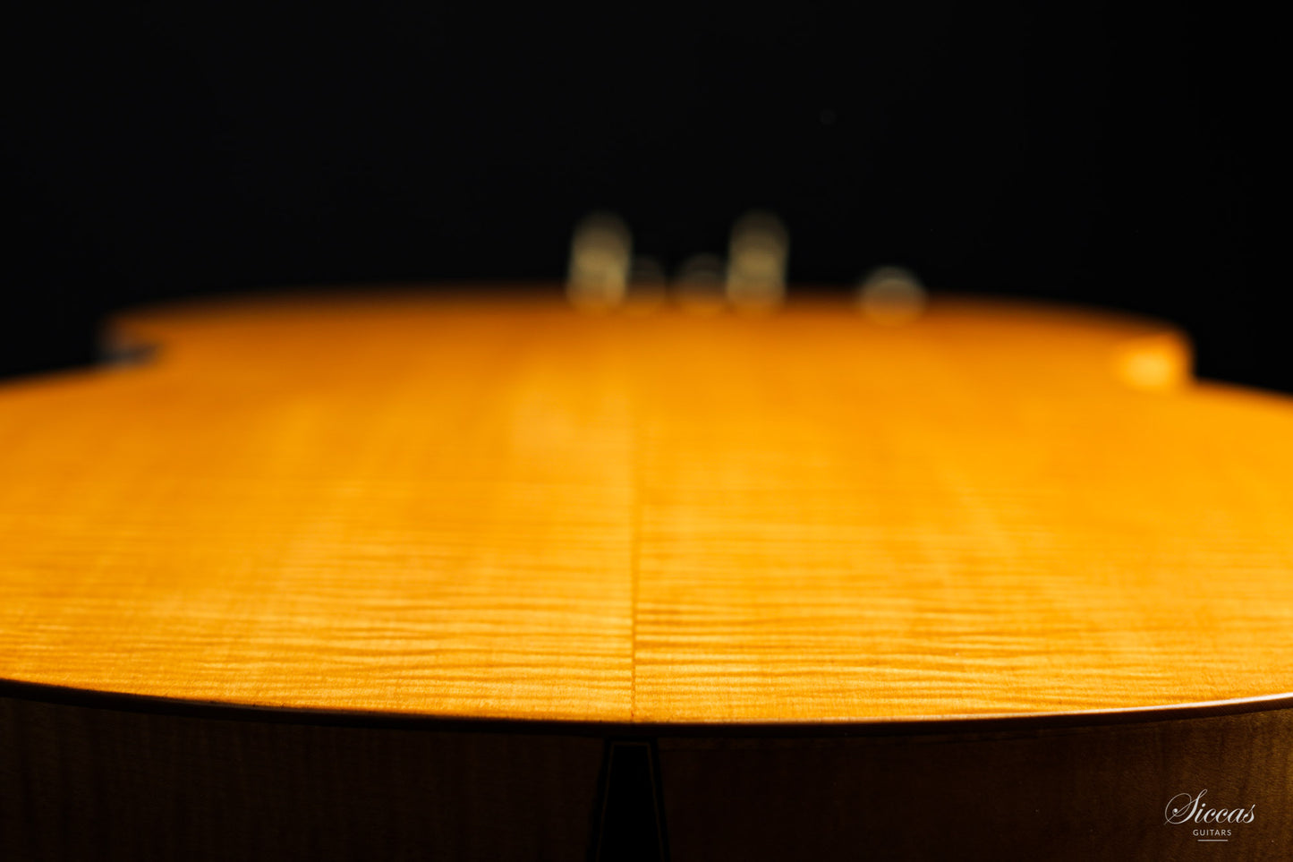 Hermann Hauser ® I - 1923 Contraguitar