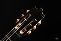 Paulino Bernabé - 2020 Concierto