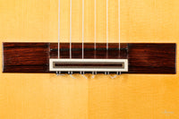 Paulino Bernabé - 2020 Concierto