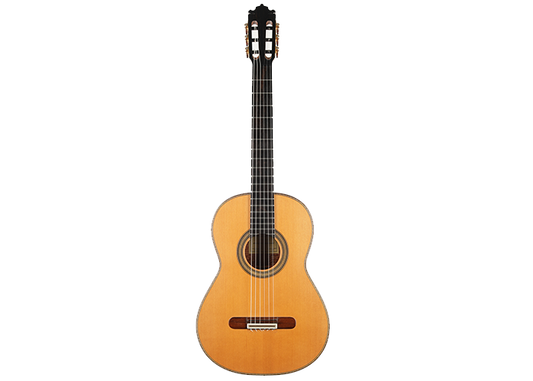 Paulino Bernabé - 2020 640mm