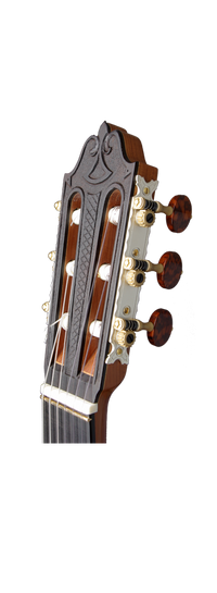 Curt Claus Voigt - Modell Espressivo 2013 Cedar