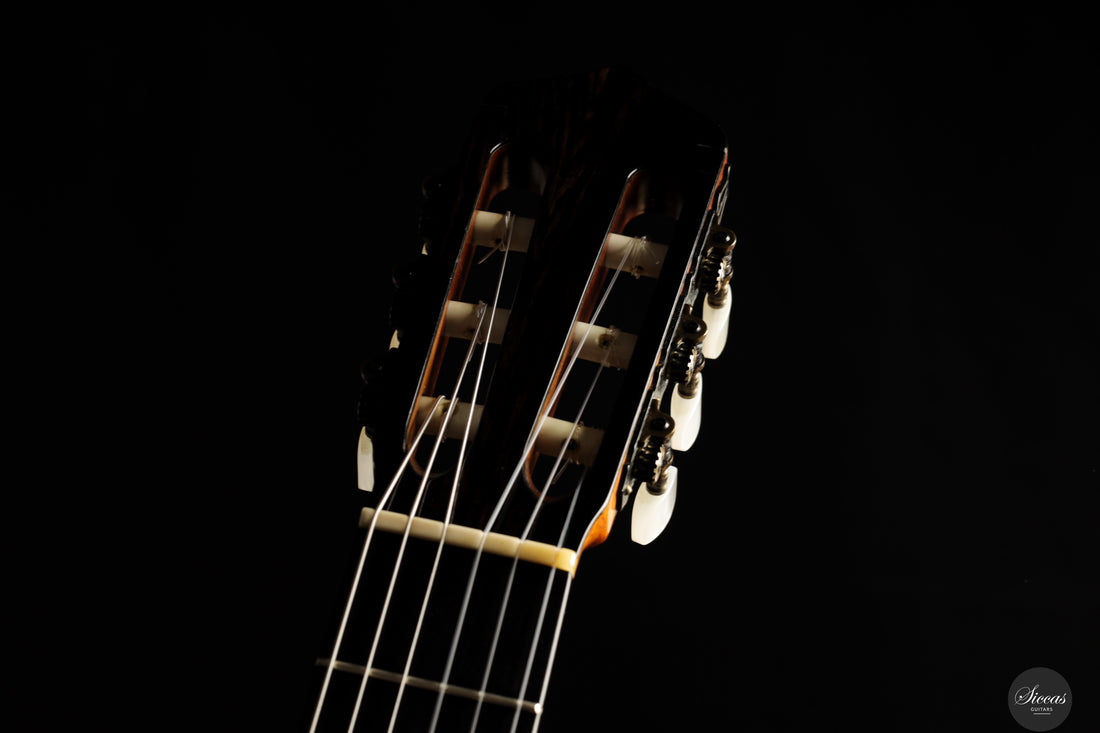 Andrea Tacchi - 1994 - Coclea 7/XVII