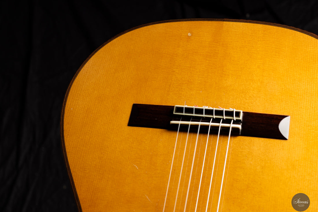 Andrea Tacchi - 1994 - Coclea 7/XVII