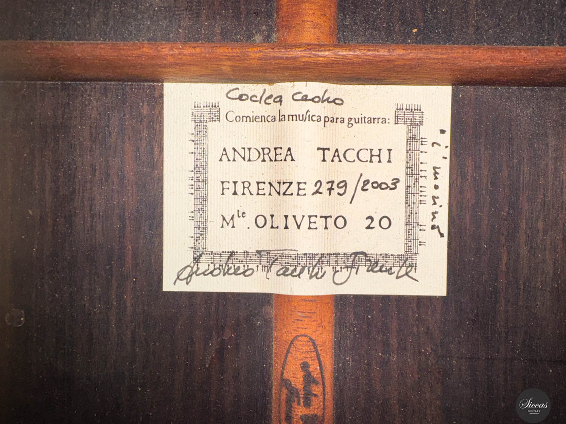 Andrea Tacchi - Coclea 2003 No. 279