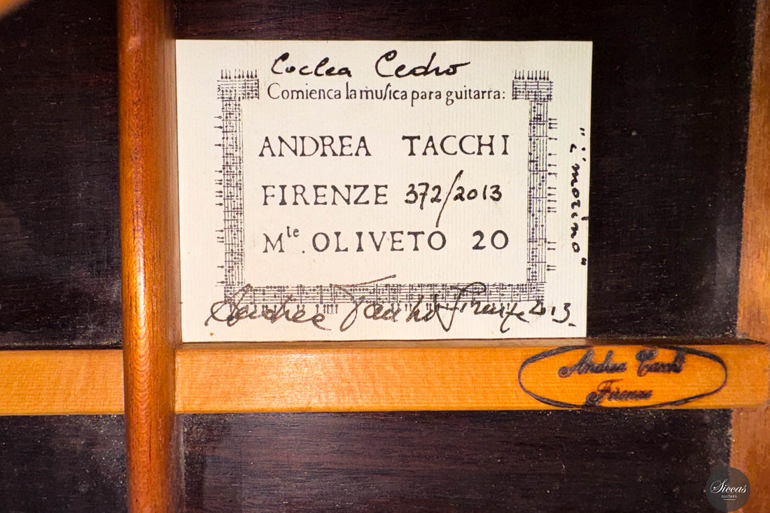 Andrea Tacchi - 2013 Coclea Cedro No. 372