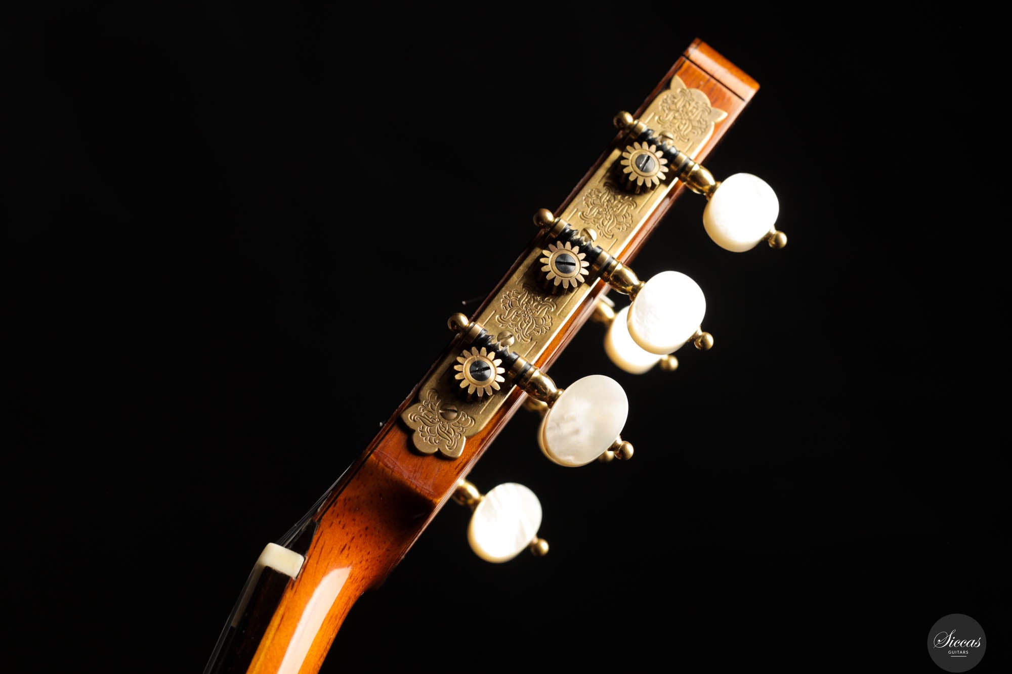 Andrea Tacchi - 2013 Coclea Cedro No. 372 – Siccas Guitars