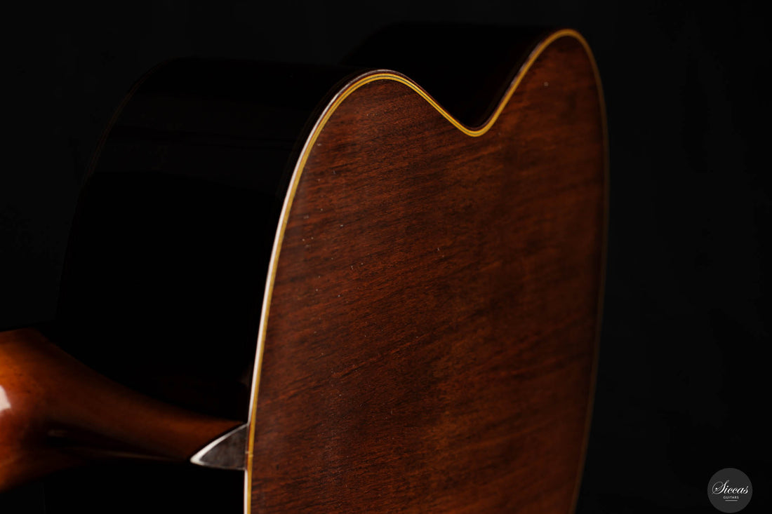 Andrea Tacchi - 2013 Coclea Cedro No. 372