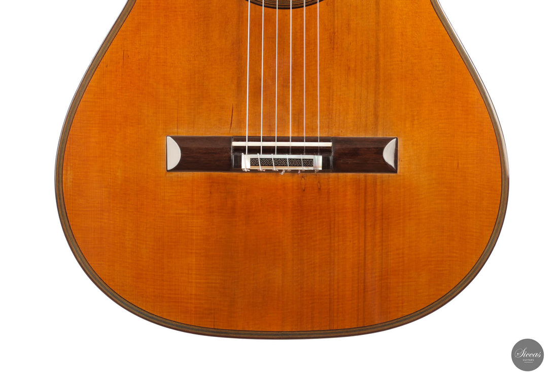 Andrea Tacchi - 2013 Coclea Cedro No. 372