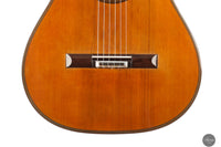 Andrea Tacchi - 2013 Coclea Cedro No. 372