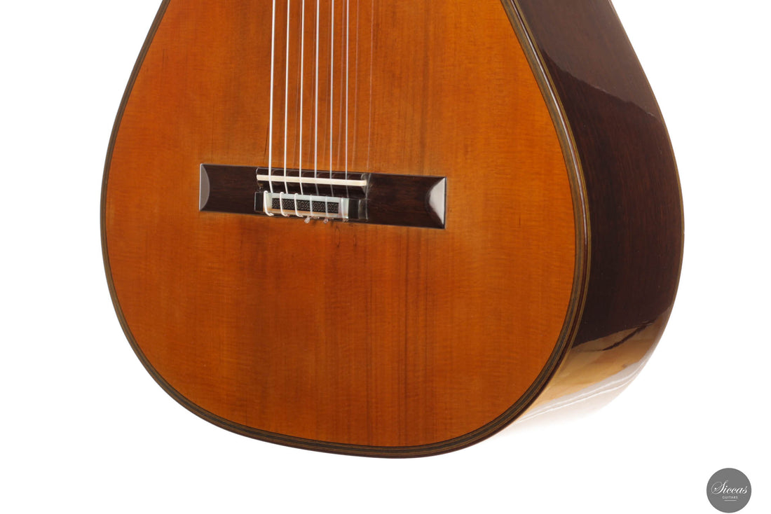 Andrea Tacchi - 2013 Coclea Cedro No. 372