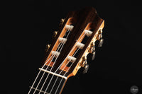 Andreas Kirschner - 2022 Doubletop Spruce 64 cm