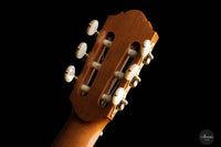 Angelo Vailati – 2023 REG Spruce/Rosewood