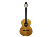 Antonio Picado No. 53 - 2002