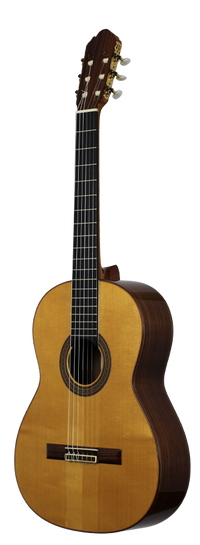 Antonio Picado No. 53 - 2002