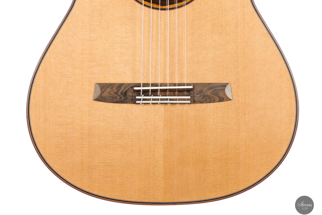 Armin Hanika - 1a Doubletop/Lattice