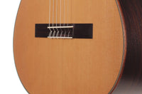 Armin Hanika – 50 PC