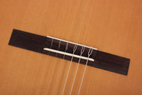Armin Hanika – 50 PC