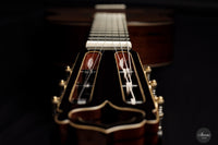 Armin Hanika – HE Doubletop Custom