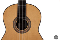 Armin Hanika – HE Doubletop Custom