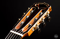 Armin Hanika – HE Doubletop Custom