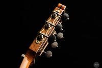 Armin Hanika – HE Lattice "New Model"