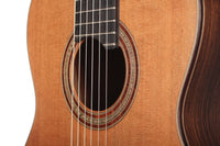 Arnoldo García 2010