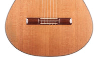 Arnoldo García 2010