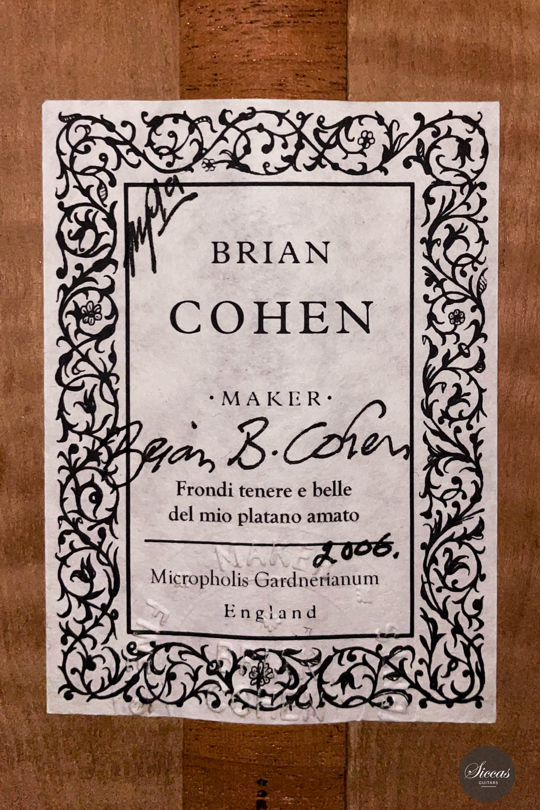 Brian Cohen – 2006 Torres