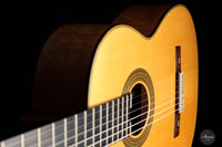 Brian Cohen – 2006 Torres