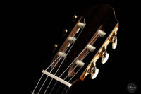 Carsten Kobs - 2023 Spruce Doubletop 65 cm